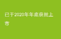2020׻