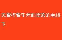 񾯽ĵ