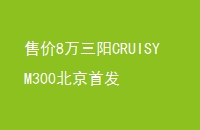 ۼ8CRUISYM300׷